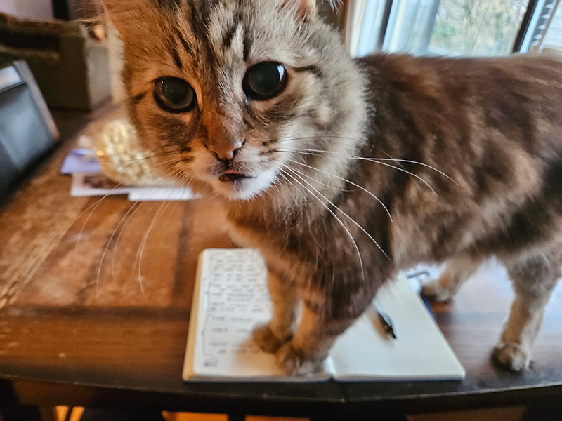 Songwriting Club 2 motto notebook v02 blog blog